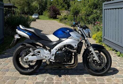 Suzuki *indy Blue*