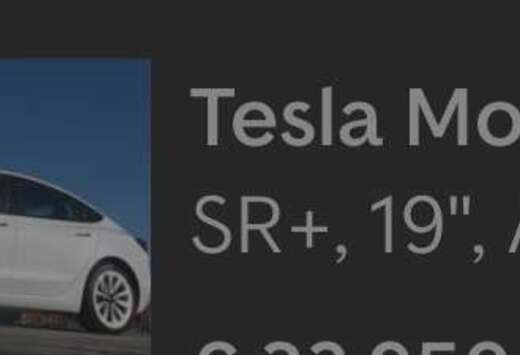 Tesla Standard Reichweite Plus Hinterradantrieb