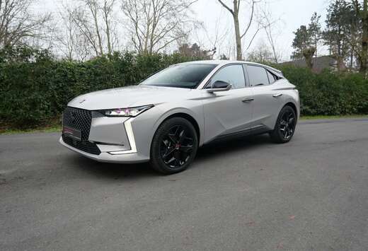 PERFORMANCE LINE+   130PK