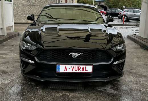 Ford 2.3 EcoBoost