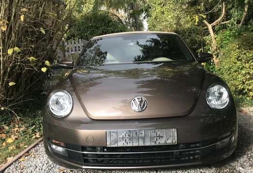 Volkswagen Beetle Cabriolet 1.6 CR TDi