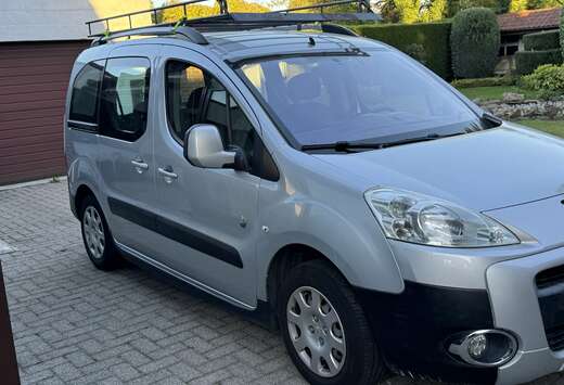 Peugeot 1.6i L1H1 Confort 120