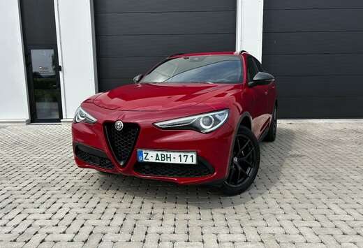 Alfa Romeo Stelvio 2.0 T AWD (lichte Vracht)