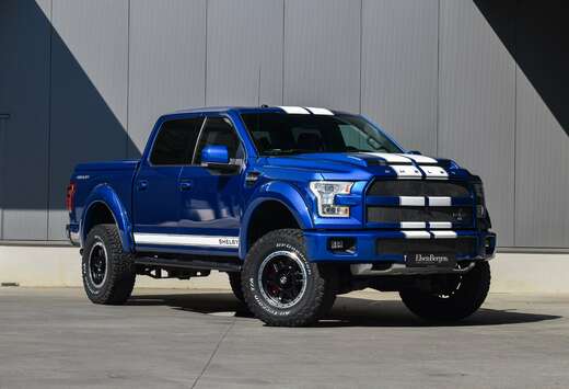 SHELBY 750 - Velocity Blue