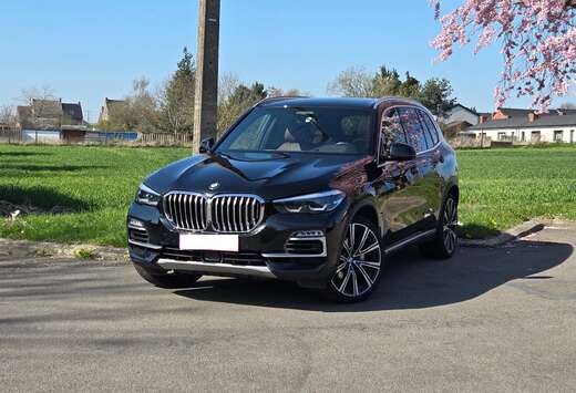 BMW X5 3.0 dA xDrive30 AdBlue