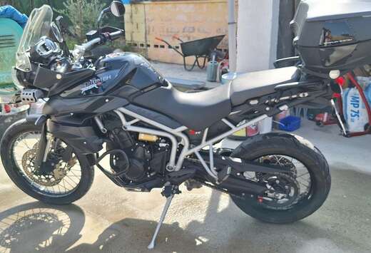 Triumph Trail