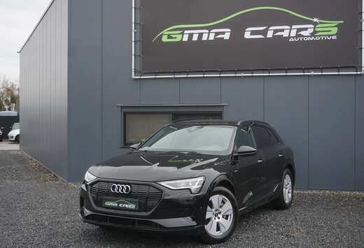 Audi 50 quattro advanced-Nav-Leder-Led-Cam-Garantie