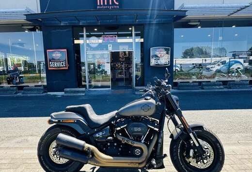 Cruiser SOFTAIL - 114
