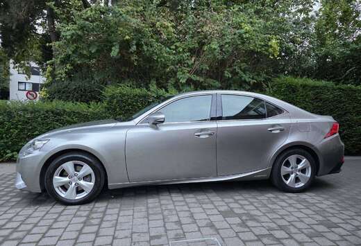 Lexus Business Line