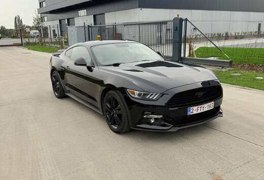 Ford 2.3 Eco Boost btw auto