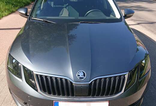Skoda Octavia Combi 1.5 TSI G-TEC DSG Active