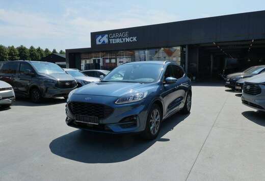 Ford ST-Line X 1.5 i benzine 150pk Leder Cam ACC BLIS ...