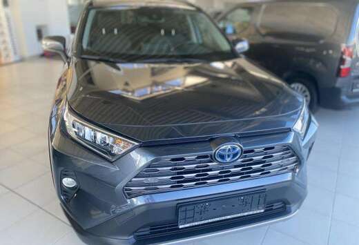 Toyota Dynamic Plus