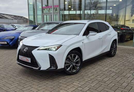Lexus AWD F-SPORT LINE +LEDER +Mark Levinson +360Cam