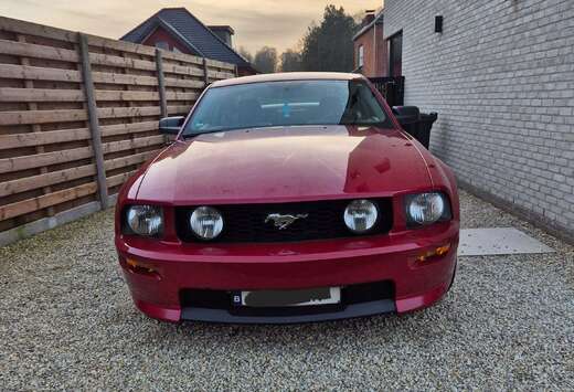 Ford GT/CS 4.6L V8 Lichte vracht