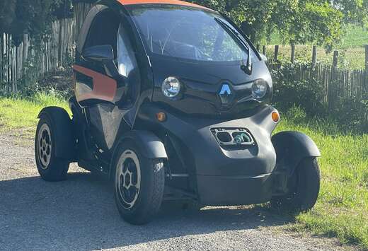 Renault (ohne Batterie) Color