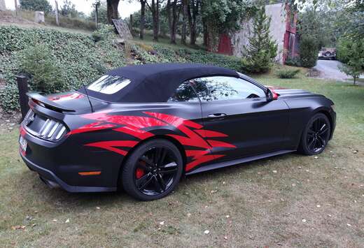 Ford Mustang Cabrio 2.3 Eco Boost