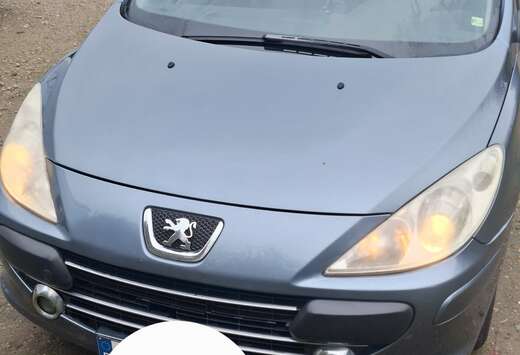 Peugeot 307 110 Automatik Tendance