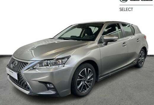 Lexus Executive Line & Navi & Leathe