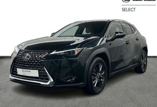 Lexus Business Line | winter pack | all seasons