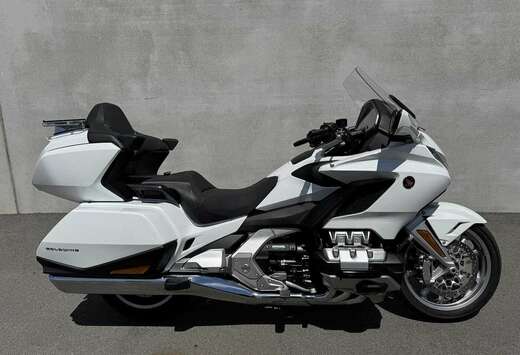 Honda GL1800 GOLDWIN DCT