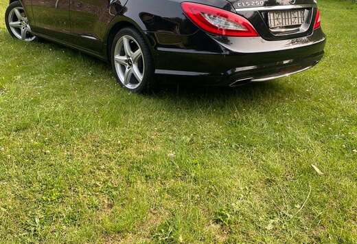 Mercedes-Benz 250CDI BE Aut.