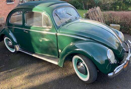 Oldtimer coccinelle découvrable \