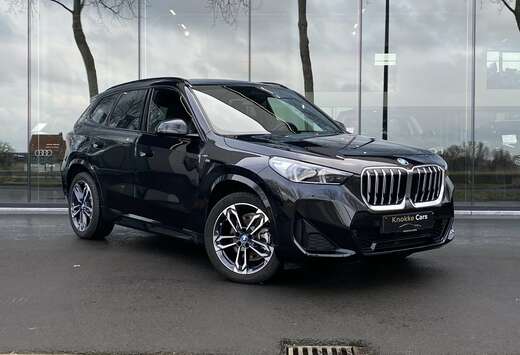 BMW Hybride,M-Pack,Camera,Trekhaak,Gps,LED\'s,Privacy