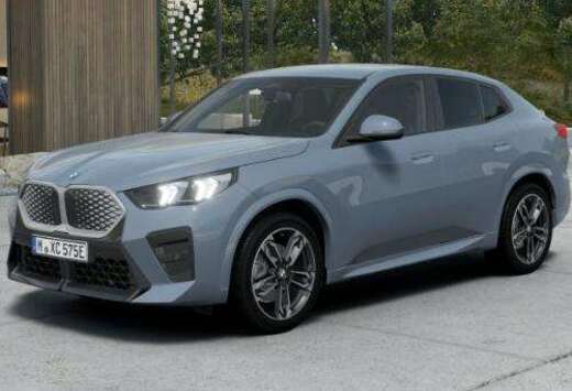 BMW eDrive20 /Pack M/ Driving pack/ 19\