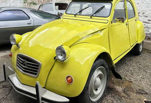 Citroen cedrat