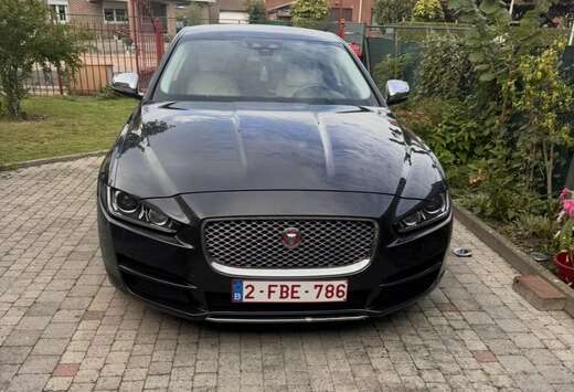 Jaguar 2.0 D E-Performance Portfolio