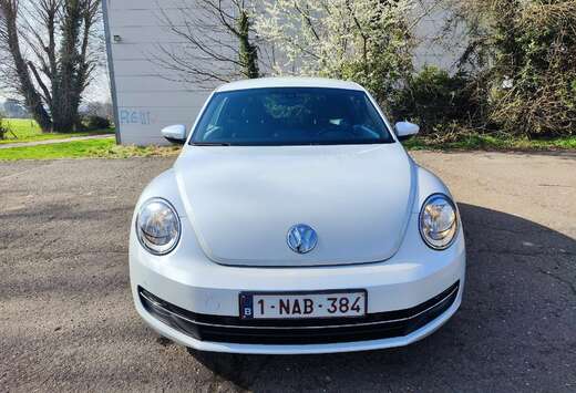 Volkswagen Fender , couleur blanc perlé