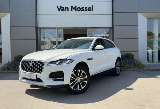 Jaguar P250 SE AWD Auto. 22MY Carplay | Camera | LED  ...