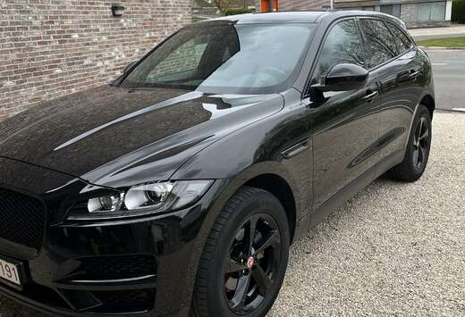 Jaguar