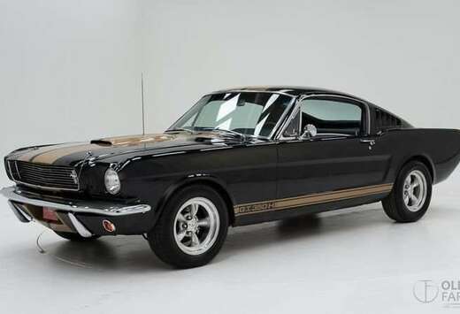 Ford Fastback V8 \'65 CH1573