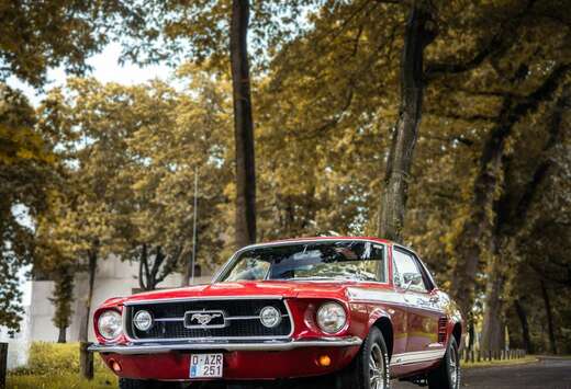 Ford GT, Big-Block (s-code)