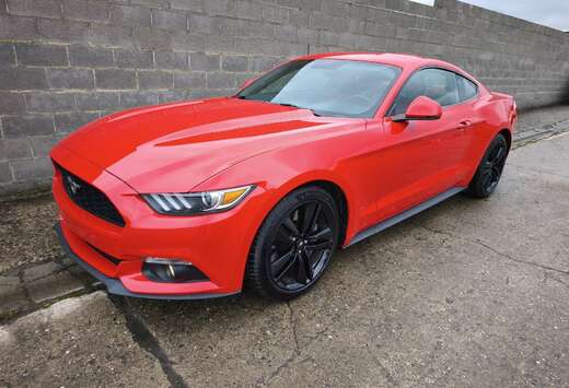 Ford Fastback 2.3 EcoBoost 317 *Faible km*