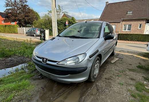 Peugeot 206 60 Grand Filou Cool