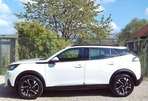 Peugeot Benzine 95dkm 17\