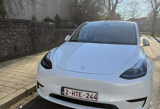 Tesla Long Range RWD