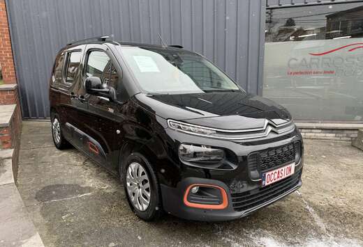 Citroen Taille M BlueHDi 130 S&S EAT8 Shine