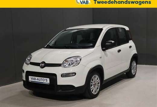 Fiat EASY HYBRID AIRCO CARPLAY DAB