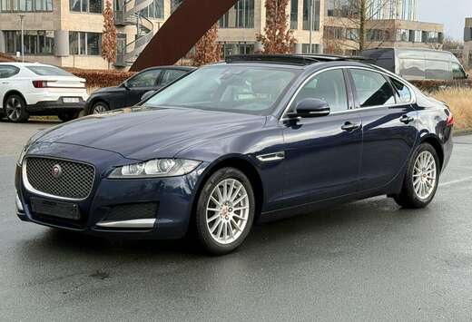 Jaguar XF 2.0 D E-Performance Portfolio (EU6.2)