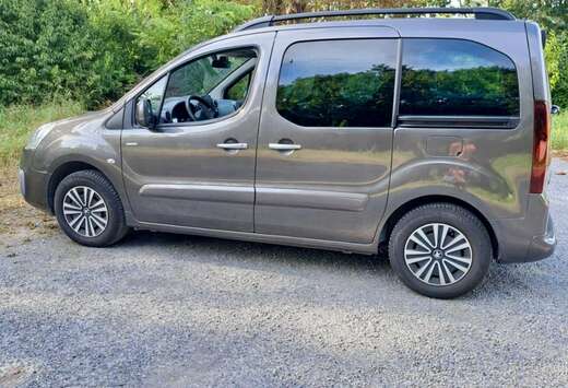 Peugeot Tepee 1.6 BlueHDi Style S&S