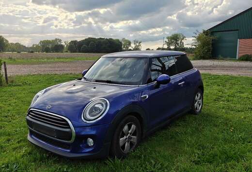 MINI 1.5T excitement pack