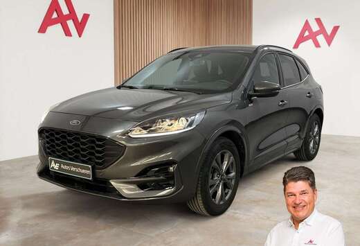 Ford ST-Line 2.5i FHEV Powershift ** Winterpack | Ca ...