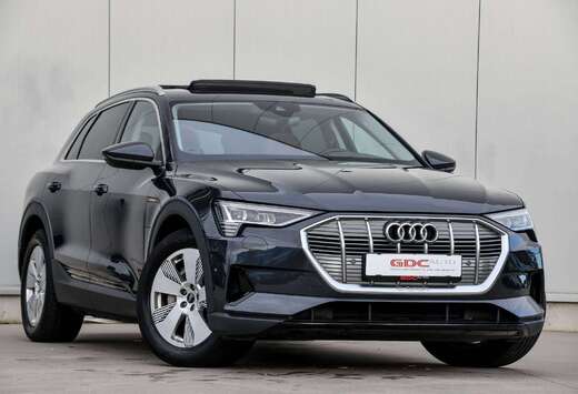 Audi E-Tron 55 Quattro l Pano l Adaptive Cruise l SOH ...