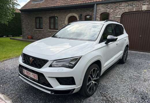 2.0 TSI 4Drive DSG UTILITAIRE