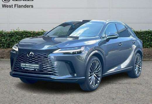 Lexus Privilege Line + 360 camera+s