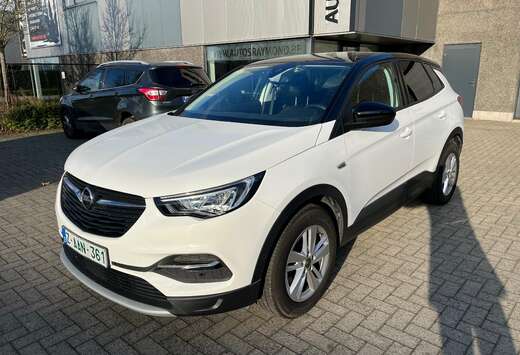 Opel Grandland X navigatie airco camera pano-dak eur6 ...